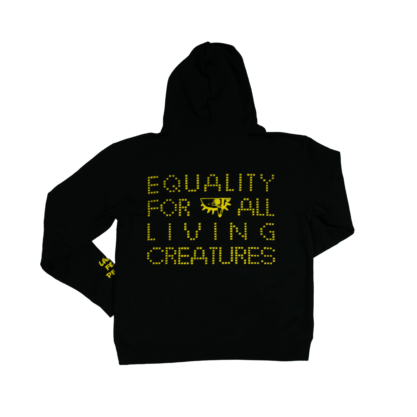 EQUALITY SATURN HOODIE